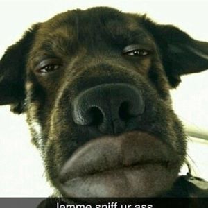 Meet your Posher, Bryan